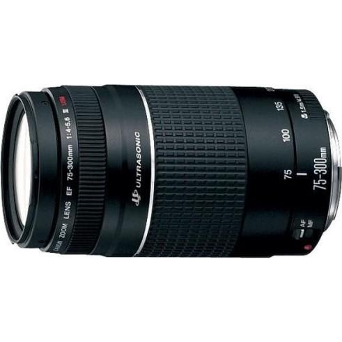 Canon EF 75-300mm f/4-5,6 III USM - зображення 1