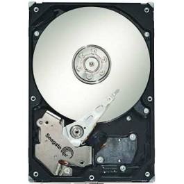 Seagate ST31000340NS