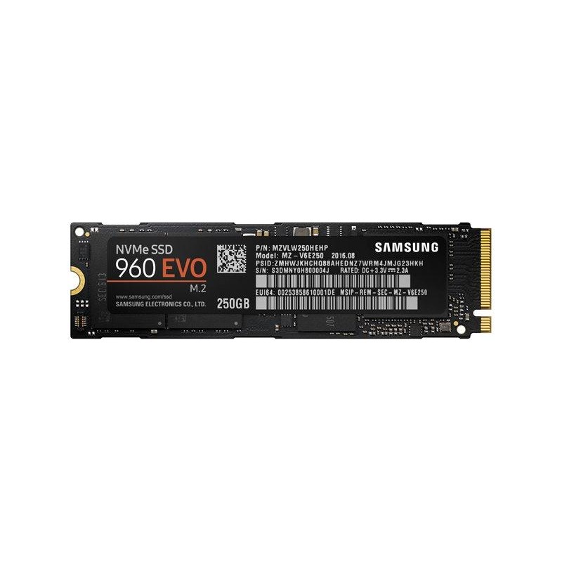 Samsung 960 EVO (MZ-V6E250BW) - зображення 1