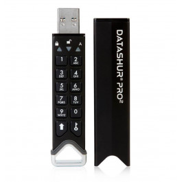 iStorage 4 GB datAshur PRO2 USB 3.2 (IS-FL-DP2-256-4)