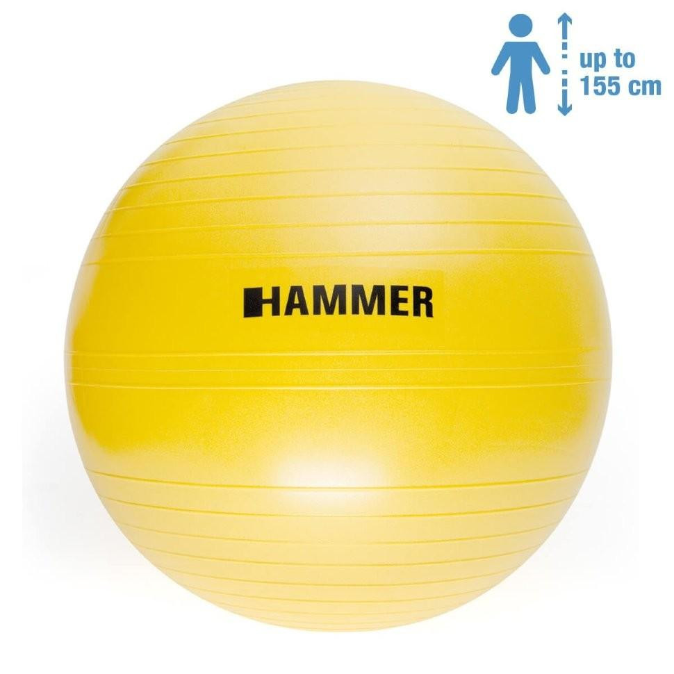 HAMMER Gymnastics Ball 55 cm (66406) - зображення 1