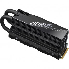 GIGABYTE AORUS Gen4 7000s Prem 2 TB (GP-AG70S2TB-P)