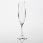 Crystalex Набор бокалов для шампанского Milvus (Barbara) 250мл 1SD22/000000/250/6