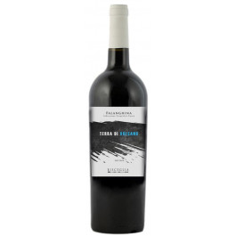 Bisceglia Вино  Terra di Vulcano Falanghina 0,75 л сухе тихе біле (8034115113005)