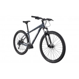 Cannondale Trail 6 29" 2021 / рама 44см slate gray