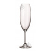 Banquet Набір келихів для шампанського Leona 210 мл 6 шт. (8591022358641) - зображення 1