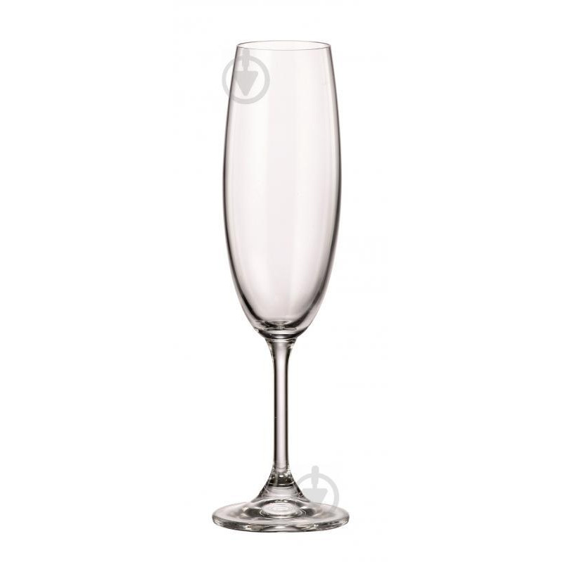 Banquet Набір келихів для шампанського Leona 210 мл 6 шт. (8591022358641) - зображення 1