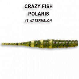 Crazy Fish Polaris 1.8"/ 16 Watermelon
