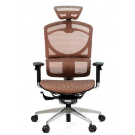 GTCHAIR I-See brown