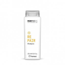 Framesi Відновлюючий шампунь для тьмяного волосся з олією камелії та керамідами Morphosis Repair Shampoo  25