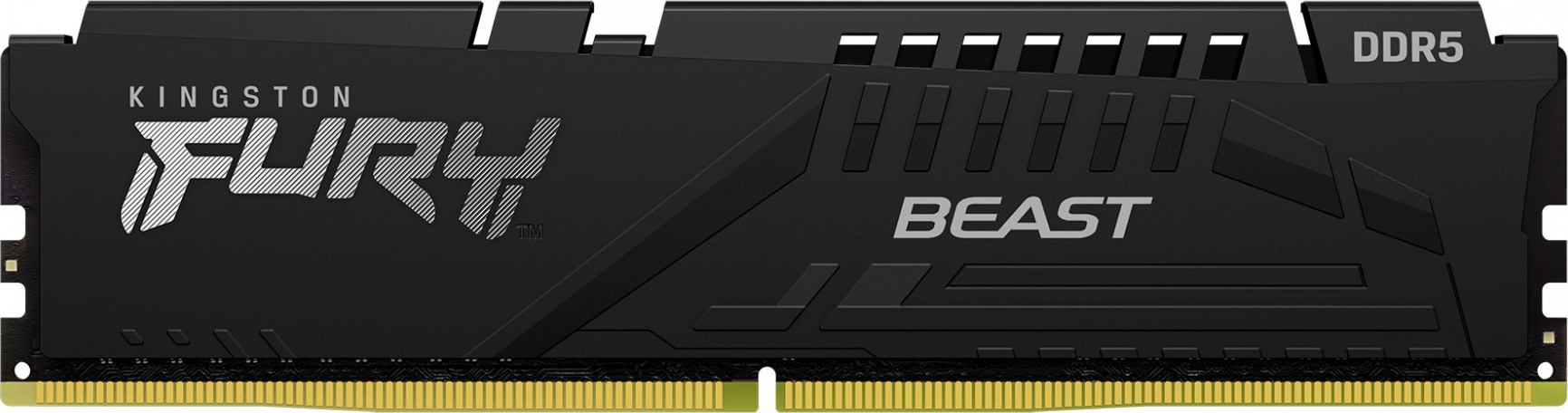 Kingston FURY 16 GB DDR5 4800 MHz Beast Black (KF548C38BB-16) - зображення 1