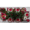 Bordallo Тарелка десертная Рождественская гирлянда 22 х 22 см (65019413) - зображення 4