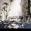 IKEA Набор бокалов для вина STORSINT (ИКЕА СТОРСИНТ) 20396298 (203.962.98) - зображення 4