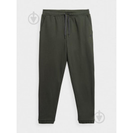 4F Спортивні штани на флісі  Trousers Cas M517 4FAW23TTROM517-43S XL Зелені (5904698492657)