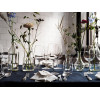 IKEA Набор бокалов для вина STORSINT (ИКЕА СТОРСИНТ) 00396336 (003.963.36) - зображення 7