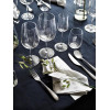 IKEA Набор бокалов для вина STORSINT (ИКЕА СТОРСИНТ) 00396336 (003.963.36) - зображення 10