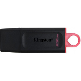 Kingston 256 GB DataTraveler Exodia (DTX/256GB)