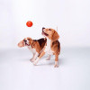 Collar Игрушка для собак Liker 7 Мячик для собак мелких и средних пород (6294) - зображення 3
