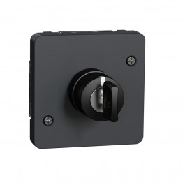 Schneider Electric Mureva Styl с ключом на 3 положения IP55 черный (MUR35061)