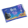сухий корм Brit Premium Cat pouch Рыбная тарелка в желе 4x100 г (8595602506248)