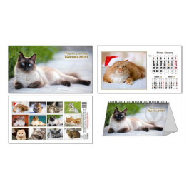  Календар перекидний КОЛАЖ Чарівні улюбленці (коти) на рік 2023 (4820144130144)