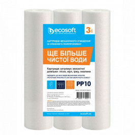Ecosoft 2,5x10" 10 мкм (CPV3251010ECO)