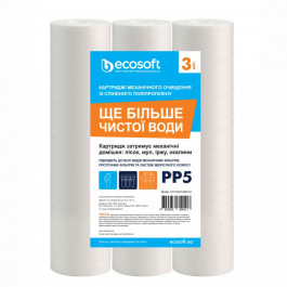 Ecosoft 2,5x10" 5 мкм (CPV325105ECO)