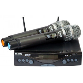 DV audio MGX-24H