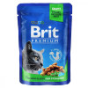Brit Premium Chicken Slices Sterilised 100 г (8595602506033) - зображення 1