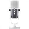 Мікрофон для ПК/ для стрімінгу, подкастів AKG Ara C22