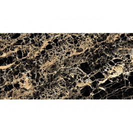 Royal Marble MPB-R571 Black and Gold 60x120