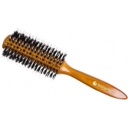 Hairway Брашинг для волос  06129 Дикобраз 66 мм