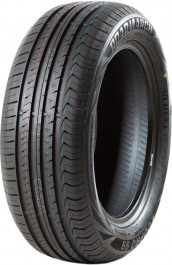 Roadmarch Ecopro 99 (205/55R16 91V)