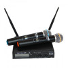 DV audio PGX-244 с ручными микрофонами - зображення 1