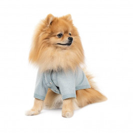 Pet Fashion Кардиган для собак  Denis XS-2 (PR243460)