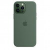 Apple iPhone 13 Pro Max Silicone Case with MagSafe - Eucalyptus (MN6C3) - зображення 1