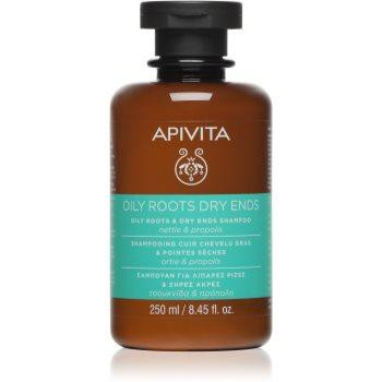 Apivita Holistic Hair Care Nettle & Propolis шампунь для жирного типу волосся 250 мл - зображення 1