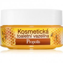 Bione Cosmetics Honey + Q10 косметичний вазелін 155 мл