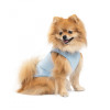 Pet Fashion Майка для собак  Adam XS-2 (PR243431) - зображення 4