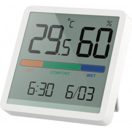 RZTK Monitor Clock