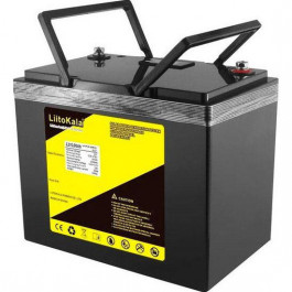 LiitoKala 12V 100Ah LiFePO4 (LII-LIFEPO4120-100-LCD)
