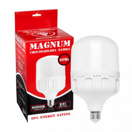Magnum LED BL80 40W E27 6500K (90015908)