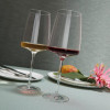 Schott-Zwiesel Набор бокалов для вина Vivid Senses 660мл 122429 - зображення 5