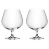 LORA Набор бокалов для бренди и коньяка Монако 730 мл 2 шт (H50-035-2) - зображення 1