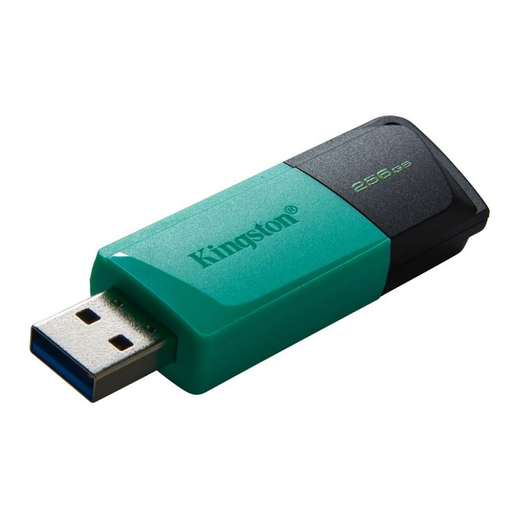 Kingston 256 GB DataTraveler Exodia M USB 3.2 Teal (DTXM/256GB) - зображення 1