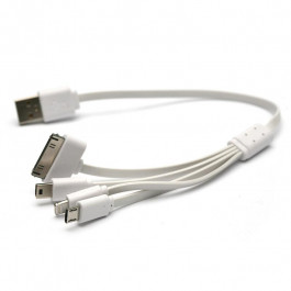 PowerPlant USB 2.0 AM - Mini, Micro, Lightning, I-Pod, 0.3м (KABUSBALL)