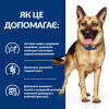 Hill's Prescription Diet Canine Gastrointestinal Biome 10 кг (604458) - зображення 5