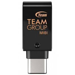 TEAM 256 GB M181 USB 3.2 (TM1813256GB01)