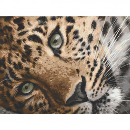Art&Craft Картина по номерам.  Леопард 40х50 см 11635-AC