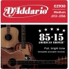 Струни для акустичної гітари D'Addario EZ930